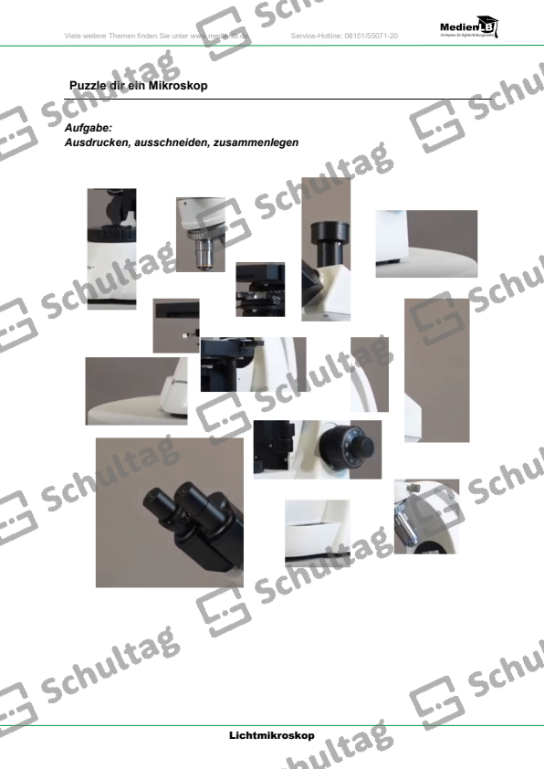 Aufbau des Lichtmikroskops – Schultag