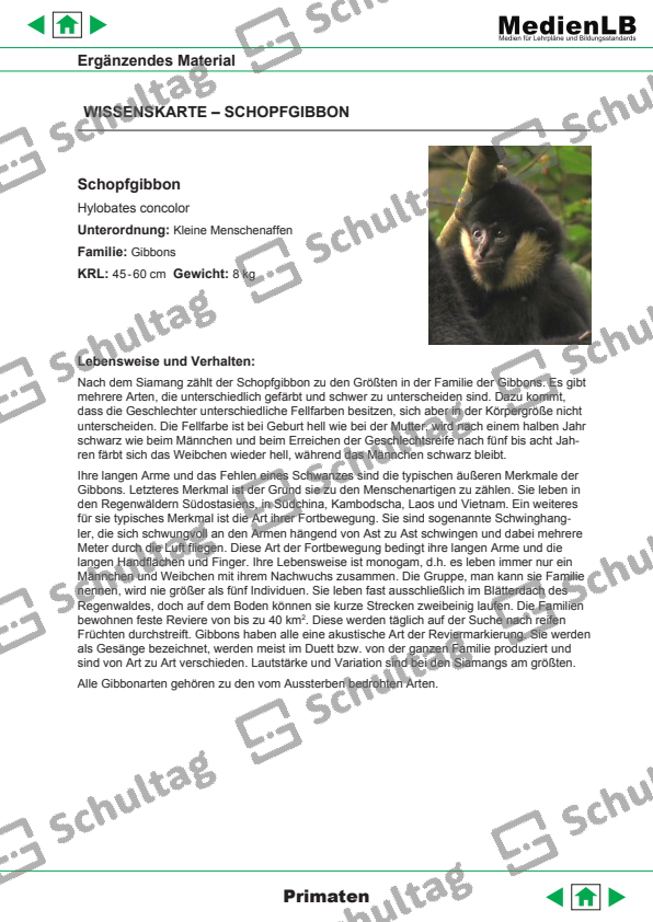 WISSENSKARTE KATTA Schultag