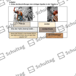Vorschaubild von Arbeitsblatt