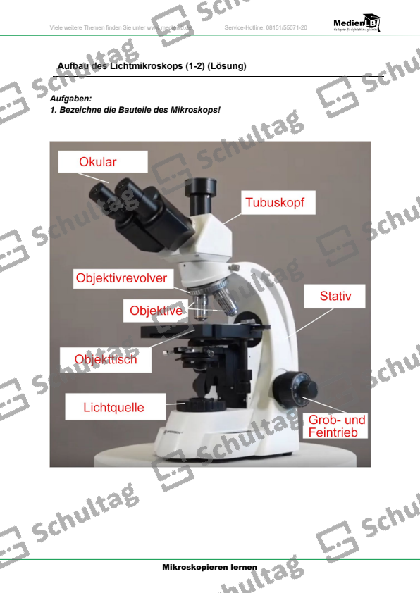 Aufbau des Lichtmikroskops – Schultag
