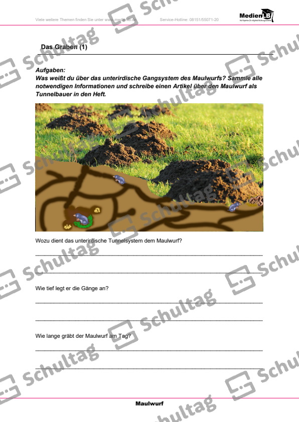Der Maulwurf-Steckbrief – Schultag