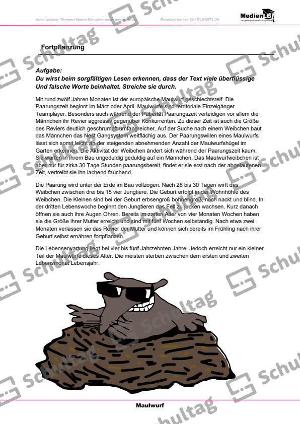 Der Maulwurf-Steckbrief – Schultag