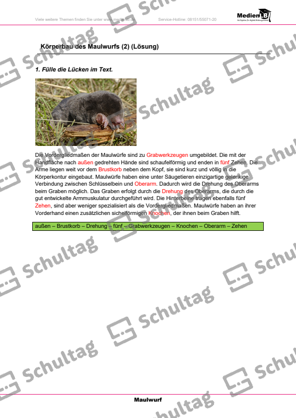 Körperbau des Maulwurfs – Schultag