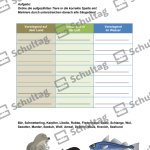 Vorschaubild von Arbeitsblatt