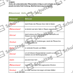 Vorschaubild von Arbeitsblatt