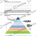 Vorschaubild von Arbeitsblatt