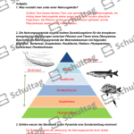 Vorschaubild von Arbeitsblatt