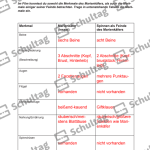 Vorschaubild von Arbeitsblatt