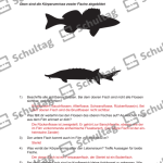 Vorschaubild von Arbeitsblatt
