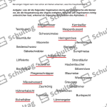 Vorschaubild von Arbeitsblatt