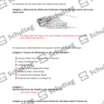 Vorschaubild von Arbeitsblatt