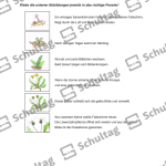 Vorschaubild von Arbeitsblatt