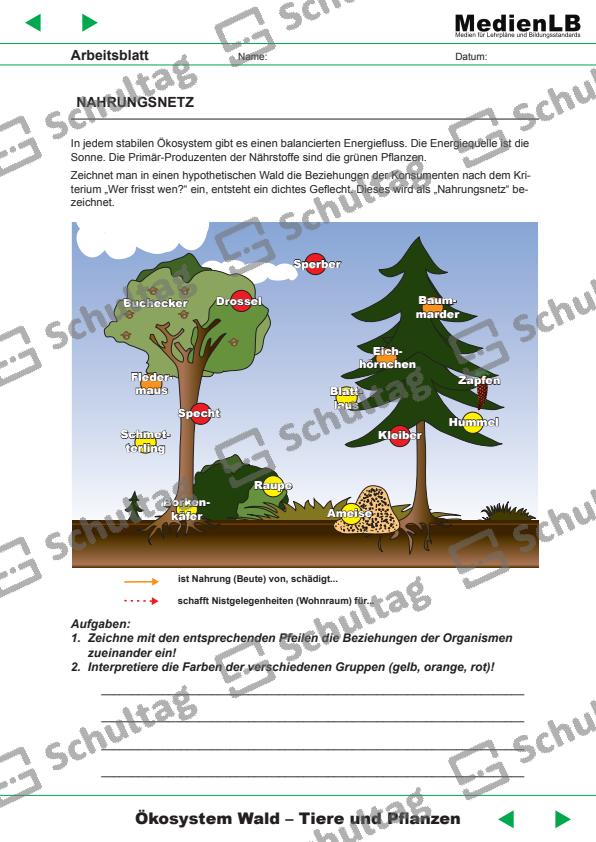 9th State Syllabus English Notes