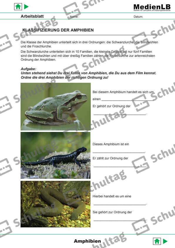 DIE VIER ARTEN DER ATMUNG – Schultag