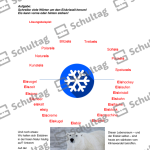 Vorschaubild von Arbeitsblatt