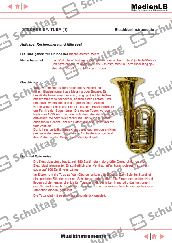STECKBRIEF TUBA Schultag