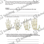 Vorschaubild von Arbeitsblatt