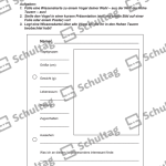 Vorschaubild von Arbeitsblatt