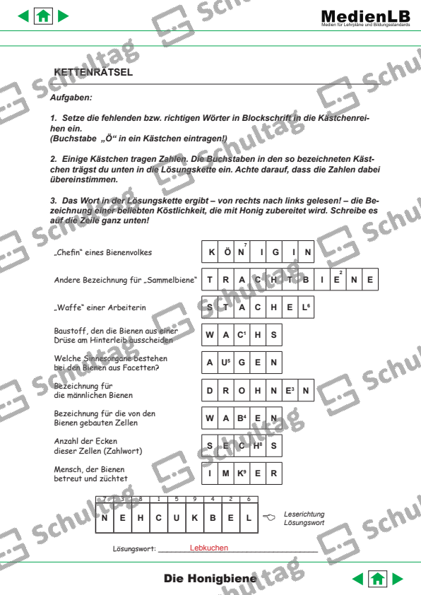KETTENRÄTSEL – Schultag