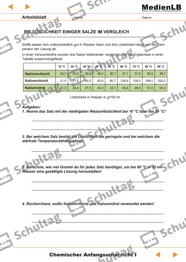 STECKBRIEF – Schultag