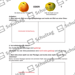 Vorschaubild von Arbeitsblatt