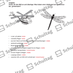 Vorschaubild von Arbeitsblatt