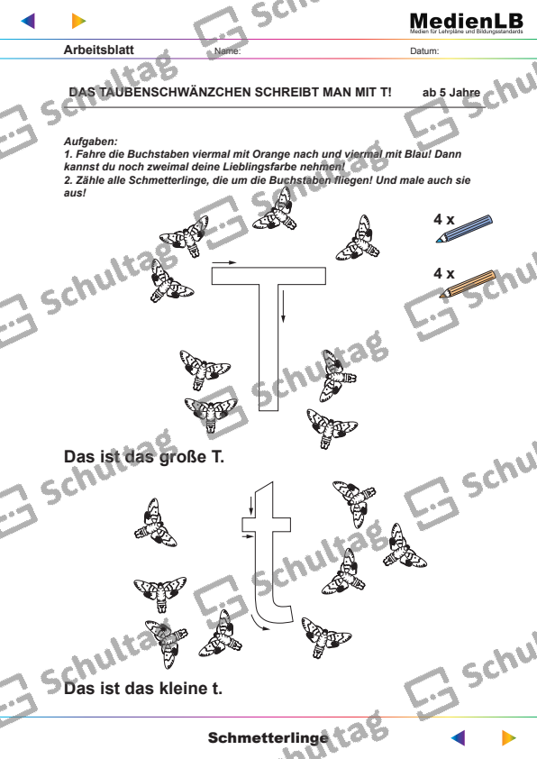 Schmetterlinge (Sammlung) – Schultag
