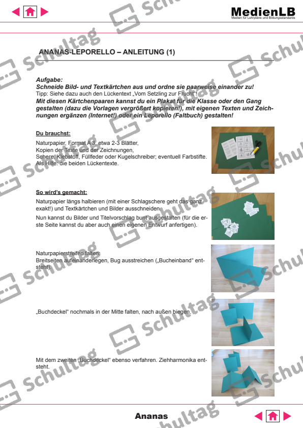FRÜCHTE (ENGLISCH) – Schultag