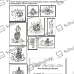 Vorschaubild von Arbeitsblatt