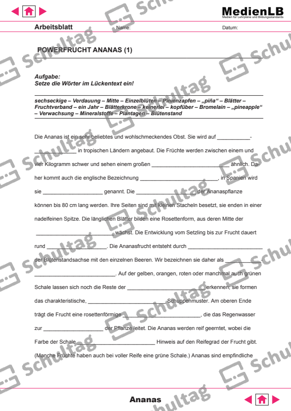 FRÜCHTE (ENGLISCH) – Schultag