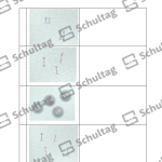 Vorschaubild von Arbeitsblatt