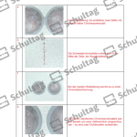 Vorschaubild von Arbeitsblatt
