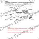 Vorschaubild von Arbeitsblatt