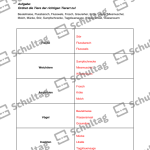 Vorschaubild von Arbeitsblatt