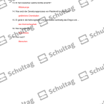 Vorschaubild von Arbeitsblatt