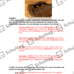 Vorschaubild von Arbeitsblatt