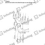 Vorschaubild von Arbeitsblatt