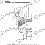 Vorschaubild von Arbeitsblatt