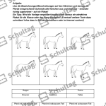Vorschaubild von Arbeitsblatt