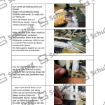 Vorschaubild von Arbeitsblatt