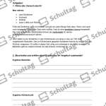 Vorschaubild von Arbeitsblatt