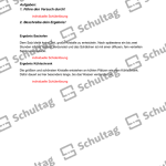 Vorschaubild von Arbeitsblatt