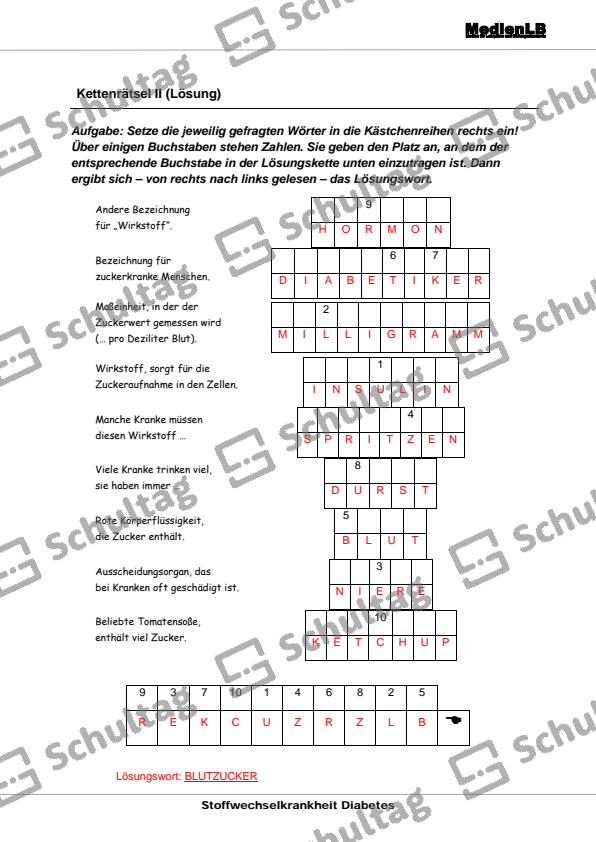 Kettenrätsel II – Schultag