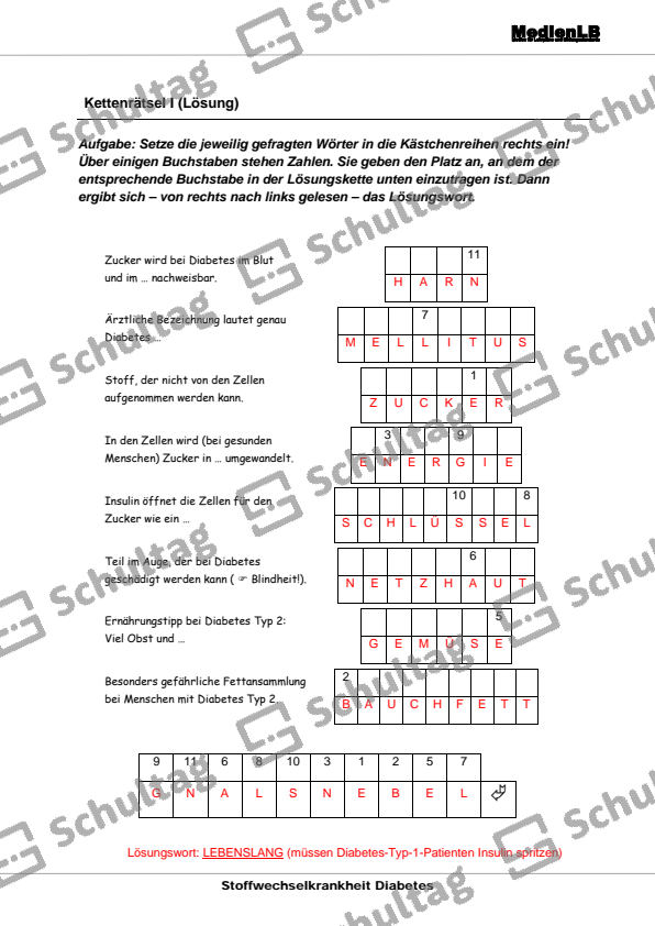 Kettenrätsel I – Schultag