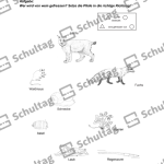 Vorschaubild von Arbeitsblatt