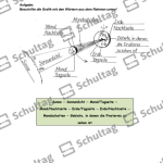 Vorschaubild von Arbeitsblatt