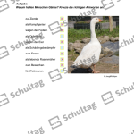 Vorschaubild von Arbeitsblatt