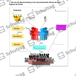 Vorschaubild von Arbeitsblatt
