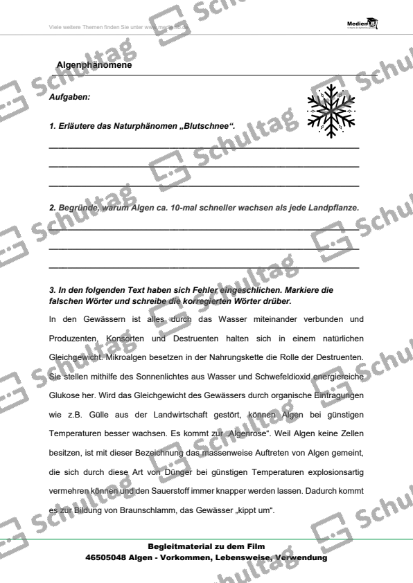 Alg 1 Und 2 Unterschied Algen unterscheiden – Schultag