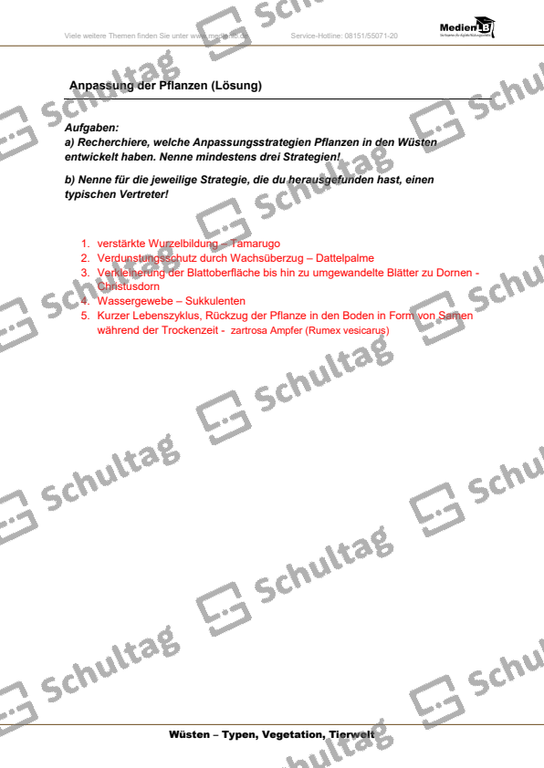 Anpassung In Der Natur 7 Buchstabennull